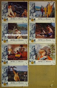 m842 MY SIDE OF THE MOUNTAIN 7 lobby cards '68 Theodore Bikel