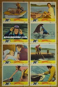 m466 NAMU THE KILLER WHALE complete set of 8 lobby cards '66 John Anderson