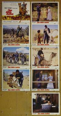 m035 ONE LITTLE INDIAN 9 lobby cards '73 Disney, James Garner