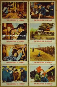 m509 PASSWORD IS COURAGE complete set of 8 lobby cards '63 Dirk Bogarde