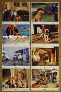 m577 SEE SPOT RUN complete set of 8 lobby cards '01 David Arquette