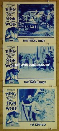 n200 SIGN OF THE WOLF 3 ch4 lobby cards '31 Rex Lease, dog serial!
