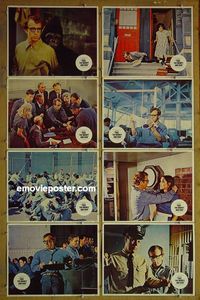 m621 TAKE THE MONEY & RUN complete set of 8 lobby cards '69 Woody Allen