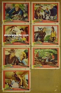 m911 YELLOW TOMAHAWK 7 lobby cards '54 Rory Calhoun, Castle
