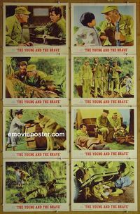 m720 YOUNG & THE BRAVE complete set of 8 lobby cards '63 Rory Calhoun, Bendix
