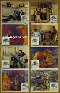 m435 MANHUNTER 8 Mexican lobby cards '72 Roy Thinnes, Sandra Dee