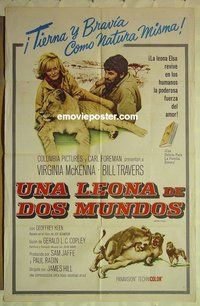 r241 BORN FREE Spanish one-sheet movie poster '66 McKenna, Travers