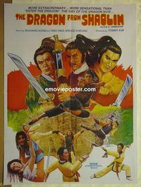 t923 DRAGON FROM SHAOLIN Pakistani movie poster '70s Richard Kong, kung fu!
