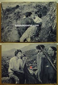 v775 TWO WOMEN 2 Italian photobusta movie posters '62 Loren, De Sica