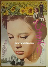 v227 SUNFLOWER Japanese movie poster R74 De Sica, Sophia Loren