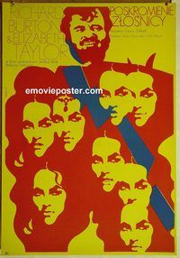 v443 TAMING OF THE SHREW Polish movie poster '67 Swerzy artwork!