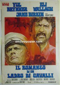 d429 ROMANCE OF A HORSETHIEF Italian one-panel movie poster '71 Yul Brynner