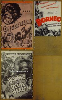 g114 BORNEO/CONGORILLA vintage movie pressbook '60s wild apes!
