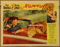 m196 FLUFFY movie lobby card #1 '65 Tony Randall and lion!