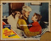 m402 PAINTED HILLS movie lobby card #6 '51 Lassie, Paul Kelly