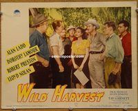 m613 WILD HARVEST movie lobby card #8 '47 Alan Ladd, Dorothy Lamour