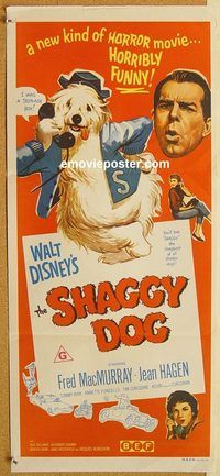 p905 SHAGGY DOG Australian daybill movie poster R70s Disney, MacMurray
