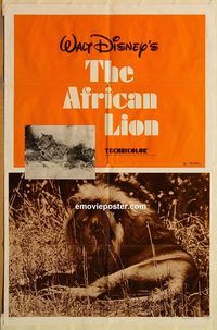 t017 AFRICAN LION one-sheet movie poster R72 Walt Disney, jungle