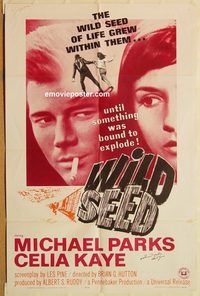 w099 WILD SEED one-sheet movie poster '65 something bound to explode!