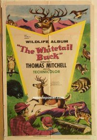 z234 WHITETAIL BUCK one-sheet movie poster '55 nature, deer wildlife album!