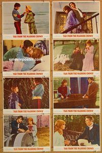 a256 FAR FROM THE MADDING CROWD 8 movie lobby cards '68 Christie