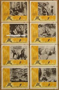 a273 FOOL KILLER 8 movie lobby cards '65 Tony Perkins, Eddie Albert