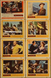 a412 KILLING 8 movie lobby cards '56 Stanley Kubrick, Sterling Hayden
