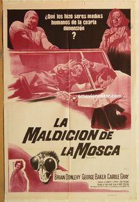 b314 CURSE OF THE FLY Argentinean movie poster '65 Brian Donlevy