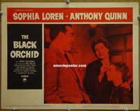 d067 BLACK ORCHID vintage movie lobby card #4 '59 Anthony Quinn, Sophia Loren