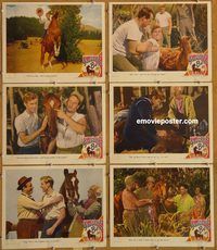 e649 GALLANT BESS 6 vintage movie lobby cards '47 Marshall Thompson