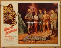 d379 KILLER LEOPARD vintage movie lobby card '54 Bomba the Jungle Boy!