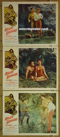 e325 KILLER LEOPARD 3 vintage movie lobby cards '54 Bomba the Jungle Boy!