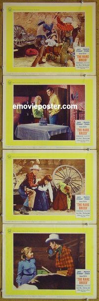 e486 RARE BREED 4 vintage movie lobby cards '66 James Stewart, Maureen O'Hara
