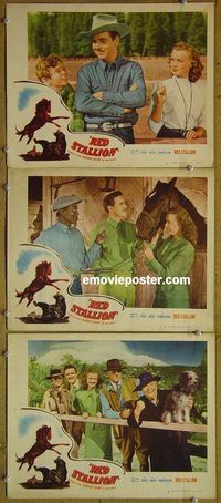 e356 RED STALLION 3 vintage movie lobby cards '47 Robert Paige, Noreen Nash