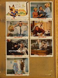 e817 THAT DARN CAT 7 movie vintage movie lobby cards '65 Hayley Mills