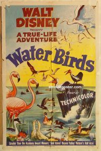 h255 WATER BIRDS one-sheet movie poster '52 Walt Disney documentary!