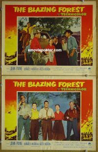 k165 BLAZING FOREST 2 movie lobby cards '52 John Payne, Demarest