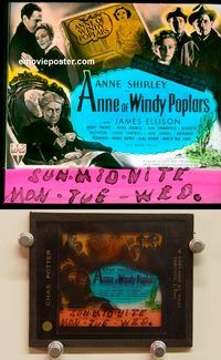 m047 ANNE OF WINDY POPLARS movie glass lantern slide '40 Anne Shirley
