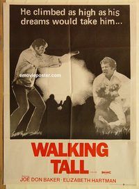 t222 WALKING TALL Pakistani movie poster '73 Joe Don Baker