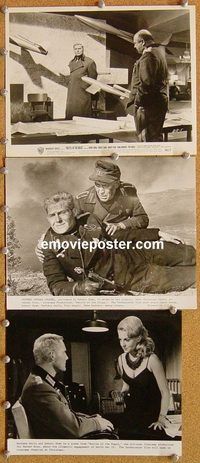 u446 BATTLE OF THE BULGE 3 8x10 movie stills '66 Henry Fonda, Shaw