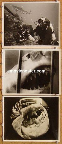t902 BLUE WATER, WHITE DEATH 8 8x10 movie stills '71 shark images!