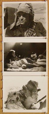 t853 BOY & HIS DOG 9 8x10 movie stills '75 Harlan Ellison