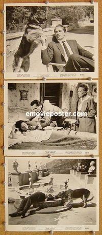 t794 DARK PURPOSE 11 8x10 movie stills '64 Shirley Jones, Brazzi