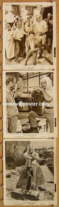 u005 ESCAPE FROM ZAHRAIN 7 8x10 movie stills '61 Yul Brynner, Mineo