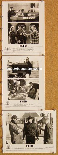 u076 FLED 6 8x10 movie stills '96 Laurence Fishburne, Stephen Baldwin