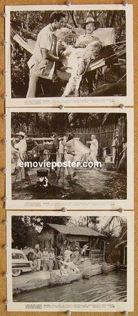 u661 JAGUAR 3 8x10 movie stills '55 Sabu, Chiquita, Barton MacLane