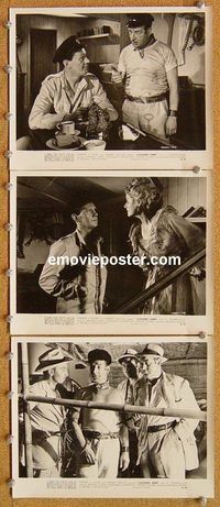 u683 LAUGHING ANNE 3 8x10 movie stills '54 Wendell Corey, Tucker