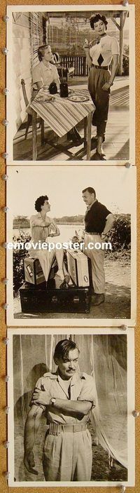 u344 MOGAMBO 4 8x10 movie stills '53 Clark Gable, Grace Kelly