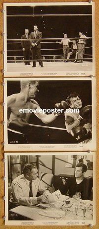 u840 SQUARE JUNGLE 3 8x10 movie stills '56 Tony Curtis, boxing!