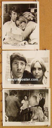 u381 STRAW DOGS 4 Spanish 8x10 movie stills '72 Dustin Hoffman,George